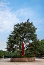 Chongqing Banan flowers and trees in the world garden service area of Ã¢â¬â¹Ã¢â¬â¹a tree